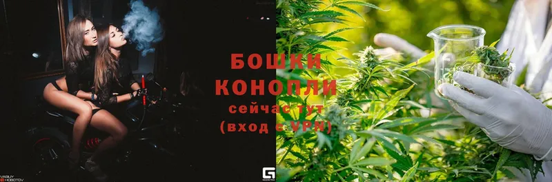 мега ONION  сколько стоит  Дальнереченск  Бошки марихуана SATIVA & INDICA 